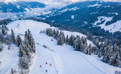 Les Gets - large ski area