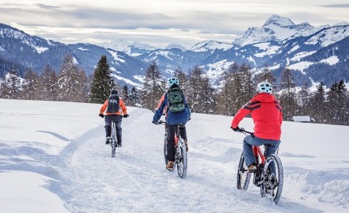 ©Simon Garnier - biking in the snow