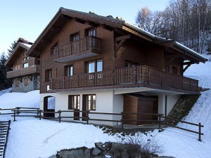 Ski_Amis_Chalet_Anniek.jpg