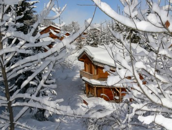 Ski Amis Chalet Morgane in the Trees