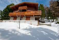 Ice and Fire, Chalet Genepi, La Plagne