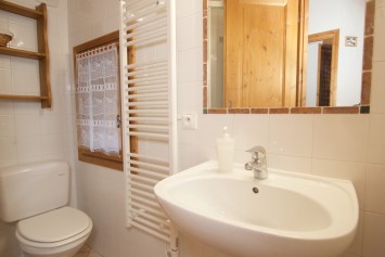 Ski Amis Chalet Lea Typical Shower Room